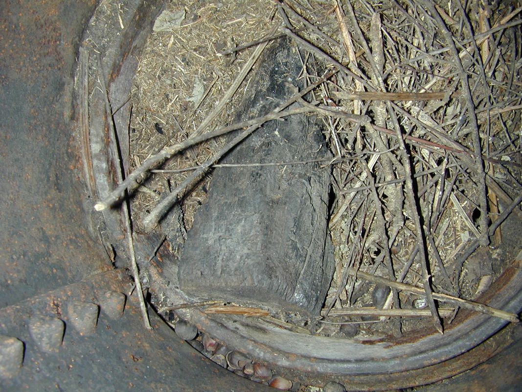 DSCN0028.JPG